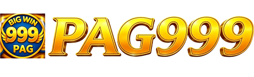vnpag999.com Logo